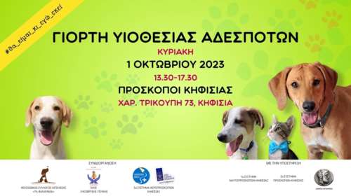 Πρωτομηνιά με πατούσες και φιλαράκια: Δεν μιλάμε για προξενιό αλλά για πραγματική αγάπη