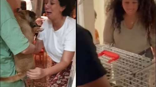 Πρώην όμηροι της Χαμάς λυγίζουν όταν αγκαλιάζουν ξανά τα κατοικίδια τους [Βίντεο]