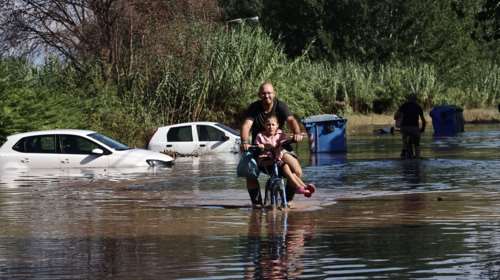 Αυγενάκης: Μέχρι μέσα Οκτωβρίου οι προκαταβολές σε πληγέντες με ζώα στη Θεσσαλία - Αποζημιώσεις 1 δισ. ευρώ άμεσα
