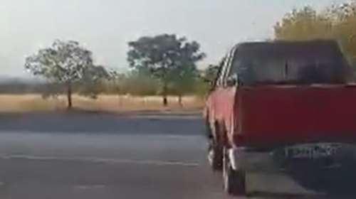 Πόση κτηνωδία χωράει σε έναν άνθρωπο: Οδηγός στην Ημαθία έδεσε και έσυρε σκυλάκο στην άσφαλτο ΣΚΛΗΡΕΣ ΕΙΚΟΝΕΣ