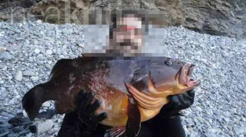 Ηράκλειο: Αγωνία για τον 45χρονο δύτη που αγνοείται - Συνεχίζονται οι έρευνες για τον εντοπισμό του
