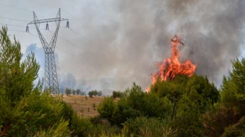Ηλεία: Νέο πύρινο μέτωπο στην περιοχή Λάλας του δήμου Αρχαίας Ολυμπίας