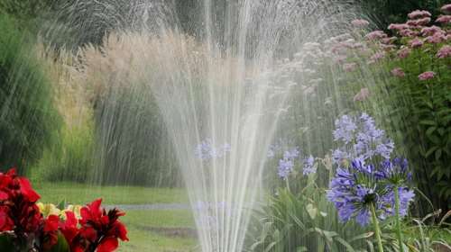 Tip of the Day: Μήπως ποτίζετε υπερβολικά τον κήπο σας;