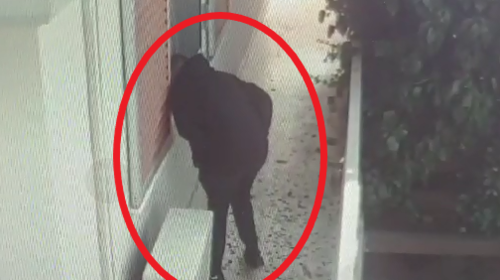 Βίντεο ντοκουμέντο από τη δράση συμμορίας που ρήμαζε σπίτια στα Μεσόγεια: Τους έπιασαν οι αστυνομικοί στα πράσα