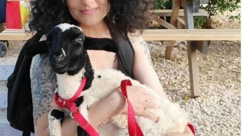 Το προβατάκι που έκλεψε την καρδιά της Τάνιας Τρύπη: Το παρασκήνιο της νέας υιοθεσίας [Εικόνες]