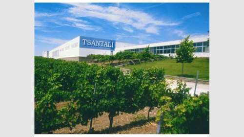 Τσάνταλης: Η ηχηρή πτώση ενός θρύλου του ελληνικού κρασιού - Το λαμπερό παρελθόν και η κατάρρευση
