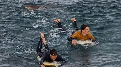 Καρχαρίας 3 μέτρων σκότωσε σέρφερ στην Αυστραλία