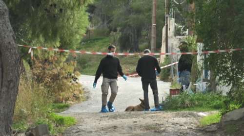 Σαλαμίνα: "Η μητέρα μου δεν μπορούσε να παλέψει" - Η κόρη της 75χρονης περιγράφει τη στιγμή που τη βρήκαν νεκρή