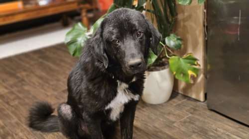 Η ζωή με τον Σέλντον  θα είναι κάπως έτσι... Θα του ψιθυρίζεις ότι τον αγαπάς και θα σε κοιτά βαθιά στα μάτια