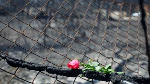 Τραγωδία στο Μάτι:  &quot;Αν είχαμε ζήσει πόλεμο, κάπως έτσι θα έμοιαζε&quot;