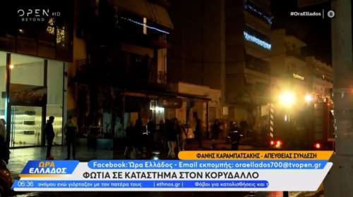 Φωτιά σε pet shop στον Κορυδαλλό - Καταστράφηκε ολοσχερώς το κατάστημα, άγνωστο αν κάηκαν ζωάκια