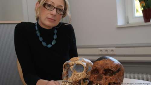 Στην καθηγήτρια Παλαιοανθρωπολογίας Κατερίνα Χαρβάτη το κορυφαίο γερμανικό βραβείο έρευνας Leibniz