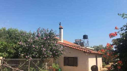 Εγκλημα στα Φιλιατρά: Ο 34χρονος αρνείται την ενοχή του - Μυστήριο με τα κίνητρα του δράστη