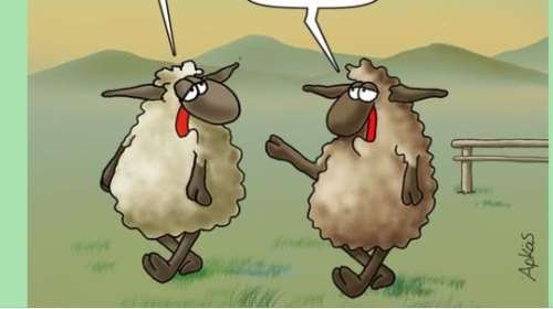 Ο προβληματισμός των προβάτων από τον Αρκά: &quot;Δεν θέλω να σε τρομάξω, αλλά σε λίγο έρχεται Πάσχα&quot;