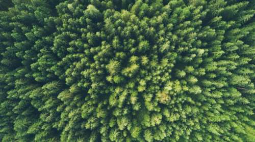 It’s good to care for our forests: Τα Goody’s Burger House σέβονται το περιβάλλον και το αποδεικνύουν μέσα από τις νέες συσκευασίες τους