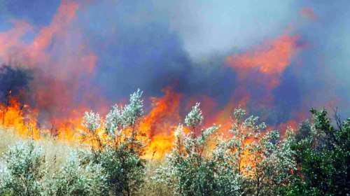 Βλάβη στο 112: Δεν αποστέλλονται μηνύματα - Ειδοποιήσεις για εκκένωση σε Αργολίδα, Πύργο και Αχαΐα