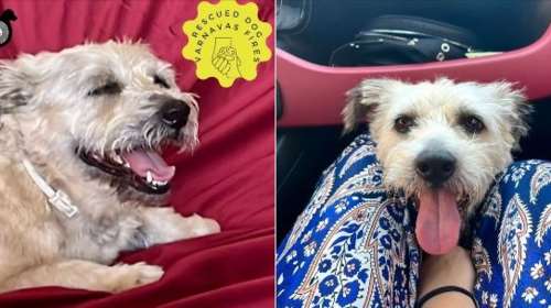 Ο Σάκης σώθηκε από τις φωτιές του Βαρνάβα: Δεν τον αναζήτησε ποτέ κανείς