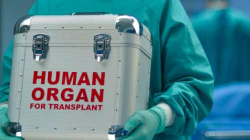 Δότης από την Κρήτη σώζει παιδάκι 3,5 ετών στην Τουρκία - &quot;Οι καλοί άνθρωποι&quot;... πρωτοσέλιδο στην Hurriyet