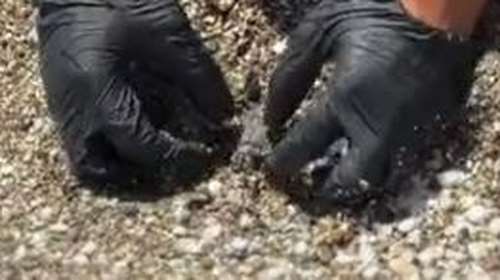 Φολέγανδρος: Διασώστης έκανε ΚΑΡΠΑ σε μικρή θαλάσσια χελώνα - Το συγκινητικό βίντεο