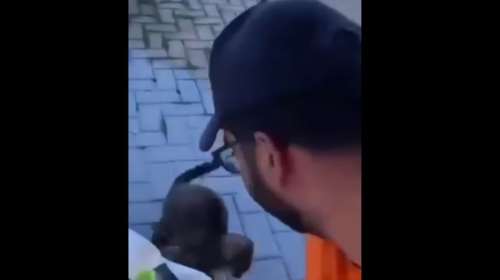 Σάλος με βίντεο στη Θάσο που δείχνει άνδρα να χτυπάει γατάκι στο κεφάλι με γυάλινο μπουκάλι μπίρας