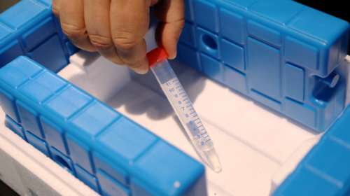 Κορονοϊός: Θα δοκιμάσουν ως φάρμακο την ασπιρίνη στη Βρετανία