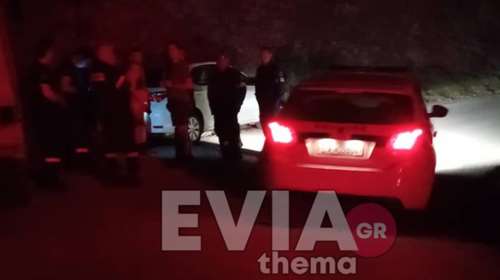 Συναγερμός στη Λίμνη Ευβοίας: Αυτοκίνητο με 4 επιβάτες έπεσε σε γκρεμό