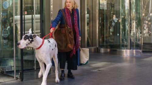 &quot;The Friend&quot;: Μία ταινία για τη φιλία, την απώλεια και την αγάπη για τα ζώα με τη Ναόμι Γουότς