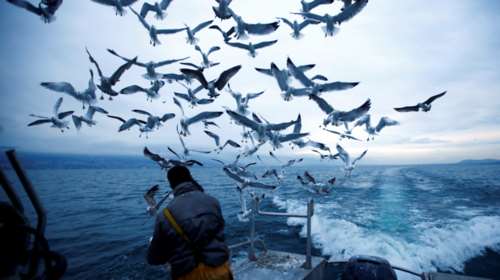 Παγκόσμια ημέρα Περιβάλλοντος: Η ώρα της φύσης - Τα μηνύματα ΟΗΕ, Σακελλαροπούλου και Μητσοτάκη