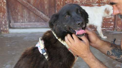 Η Λου: Εμάς αυτά τα κορίτσια τα τσουπωτά, με τη γούνα τη διπλή, τριπλή, την αναρχική, μάς αρέσουν πάρα μα πάρα πολύ