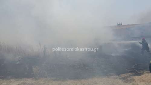 Θεσσαλονίκη: Σε εξέλιξη φωτιά στη Νεοχωρούδα- Κλειστοί οι επαρχιακοί δρόμοι [ΕΙΚΟΝΕΣ &amp; ΒΙΝΤΕΟ)