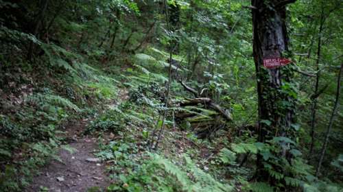 Θρίλερ με ανθρώπινο σκελετό που βρέθηκε στην Ελασσόνα - Τον εντόπισε περιπατητής