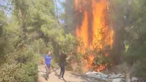 Φωτιά σε δασική έκταση στον Αυλώνα