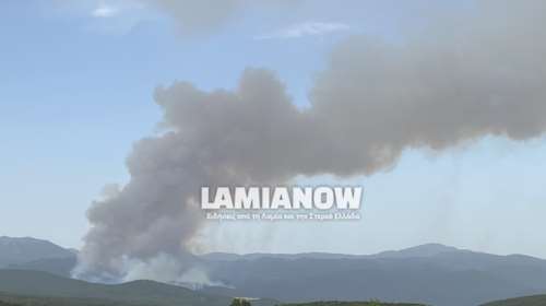 Λαμία:Συναγερμός στην Πυροσβεστική - Σε εξέλιξη δασική πυρκαγιά στη θέση Λιβαδάκια