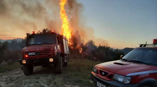 Συναγερμός στην Πυροσβεστική: Σε εξέλιξη φωτιά στη Χασιά - Δεν απειλούνται άμεσα κατοικίες