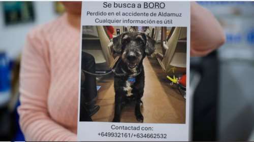 Ισπανία: Βρέθηκε ο Μπόρο που χάθηκε στη σιδηροδρομική τραγωδία - "Ήταν πολύ δύσκολο"