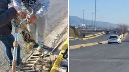 Alma Libre: Το μωρό του φρεατίου - Από αυτοκίνητο εν κινήσει έπεσε στο δρόμο και κατέληξε σε υπόνομο