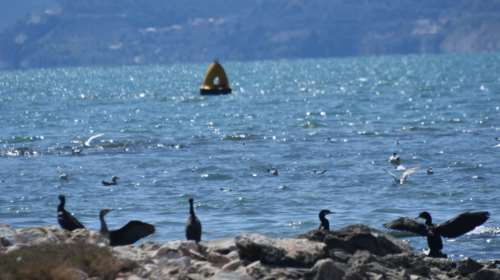 Καιρός: Επιστρέφει η άνοιξη - Καλοκαιρία με άνοδο της θερμοκρασίας [χάρτης]