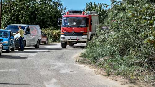 Φωτιά στην περιοχή Βέρια του Δήμου Σπάρτης - Συναγερμός στην πυροσβεστική