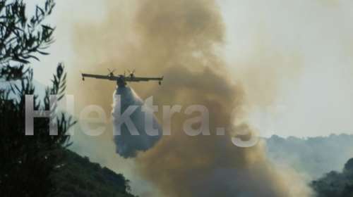 Συναγερμός στην Πυροσβεστική: Φωτιά σε εξέλιξη στη Νεμέα [Εικόνες]