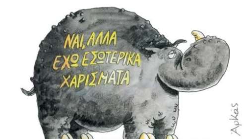 Αρκάς: Το παράπονο του ρινόκερου για τα κιλά του πριν την παραλία