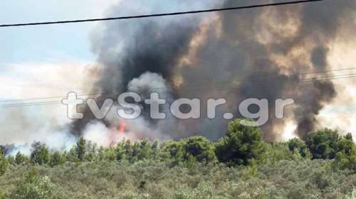 Σε εξέλιξη μεγάλη πυρκαγιά στον Θεολόγο: Σκληρός αγώνας των πυροσβεστών λόγω των ισχυρών ανέμων [Εικόνες- Βίντεο]