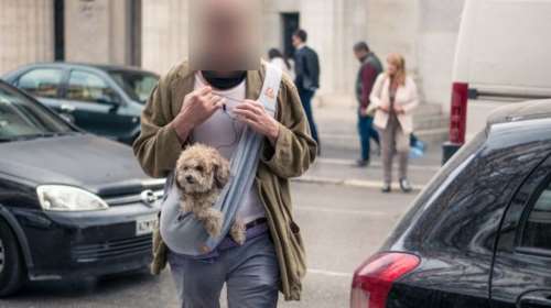 Αυτός είναι ο 3ος σκηνοθέτης και ηθοποιός που ερευνά ο εισαγγελέας για σεξουαλική κακοποίηση [εικόνες]
