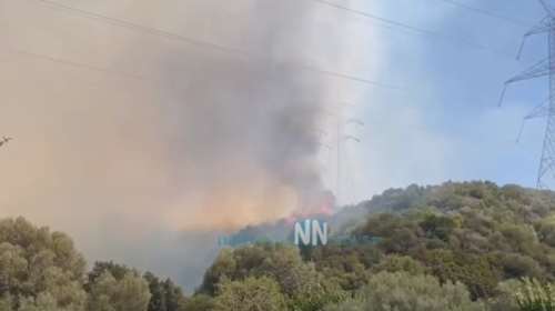 Φωτιά στη Ναύπακτο: Καλύτερη η εικόνα στο μέτωπο της Αφροξυλιάς [βίντεο]