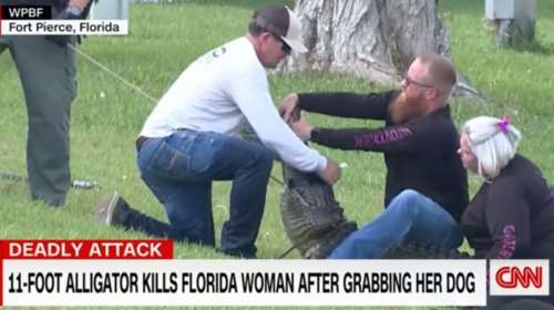Σοκ στη Φλόριντα: Αλιγάτορας σκότωσε 85χρονη που προσπάθησε να σώσει τον σκύλο της