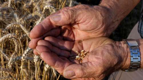 Εφιαλτική προειδοποίηση Γκουτέρες: Κίνδυνος παγκόσμιου λιμού λόγω του πολέμου στην Ουκρανία - &quot;Ανησυχώ βαθιά&quot;