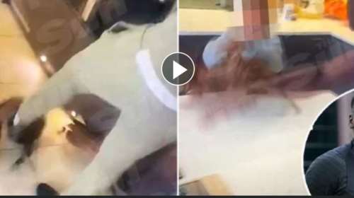 Αγγλία: Βίντεο - σοκ με γνωστό ποδοσφαιριστή να κλωτσά με μανία τη γάτα του [βίντεο]