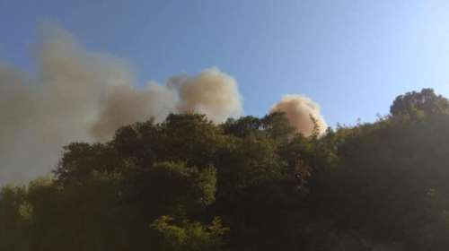 Πυρκαγιά στην Κέρκυρα: Κάηκαν πάνω από 200 στρέμματα στον Ερημίτη