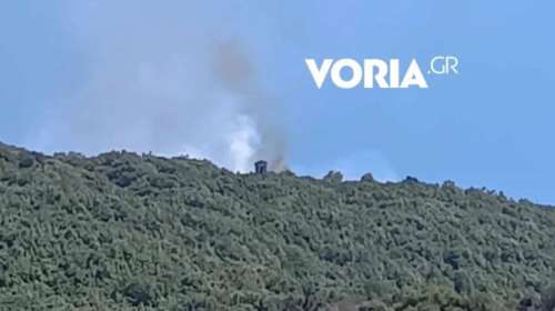 Φωτιά σε δασική έκταση στο Άγιον Όρος:  Συναγερμός στην Πυροσβεστική [Βίντεο]