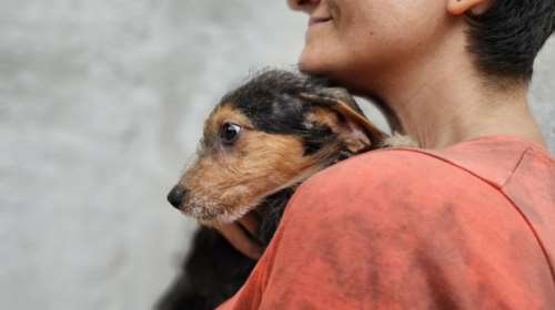 Σώστε ένα αδεσποτάκι: Ο Γουίλι, ένα πολύ ευαίσθητο μωρό, γνώρισε τη χειρότερη πλευρά της ζωής