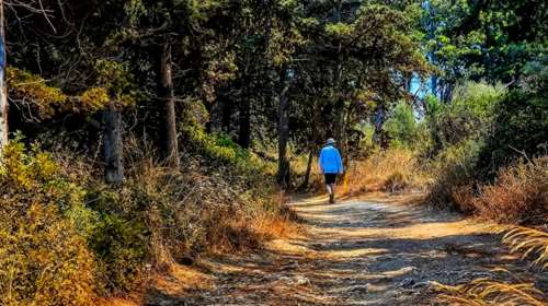 Καιρός: Μεγάλα διαστήματα με ήλιο και βροχερά περάσματα την Κυριακή - Με διακυμάνσεις η θερμοκρασία